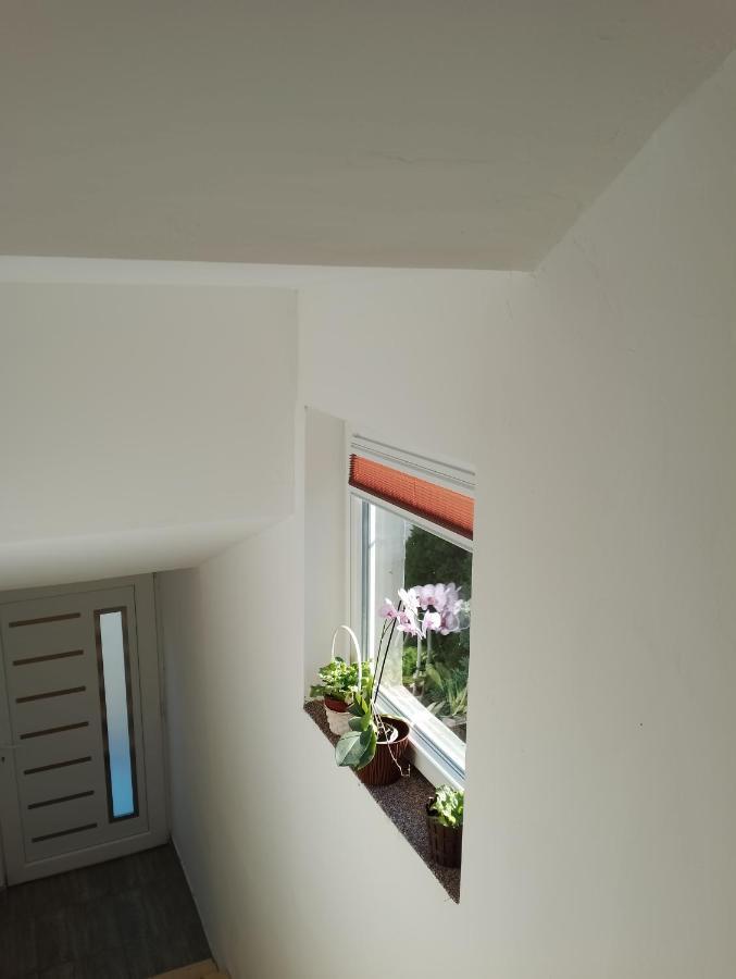 Apartment Milica Kladovo
